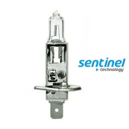 SENTİNEL H7 24V 70W HALOGEN FAR AMPÜLÜ