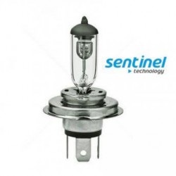 SENTİNEL H4 24V 70W P43T TIRNAKLI HALOGEN FAR AMPÜLÜ